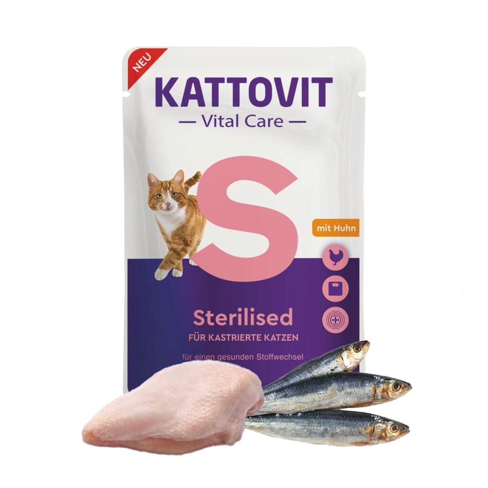 Kattovit 2.jpg